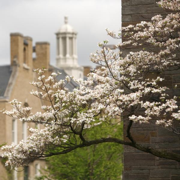 Photo: Ithaca Campus